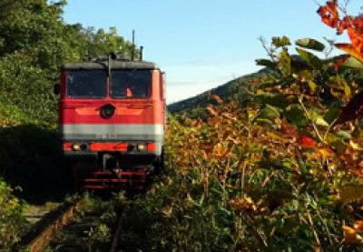 Закрыт последний участок японской узкоколейки на Сахалине